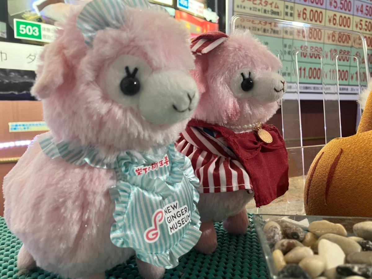 Hotel La Rouge - Vacation Stay 89068V 福島市 エクステリア 写真